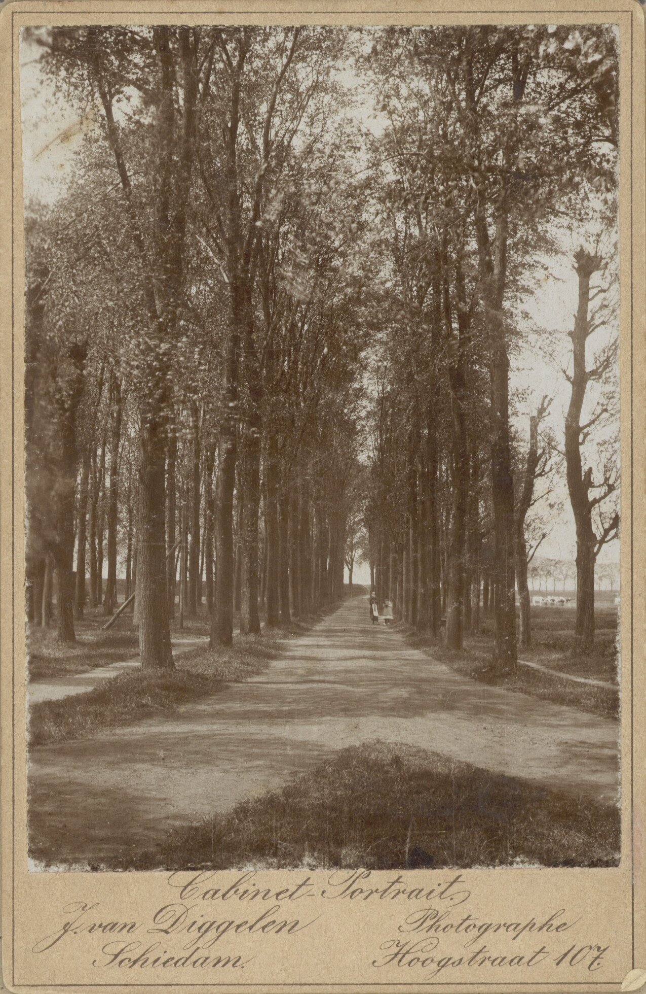 Diefhoek